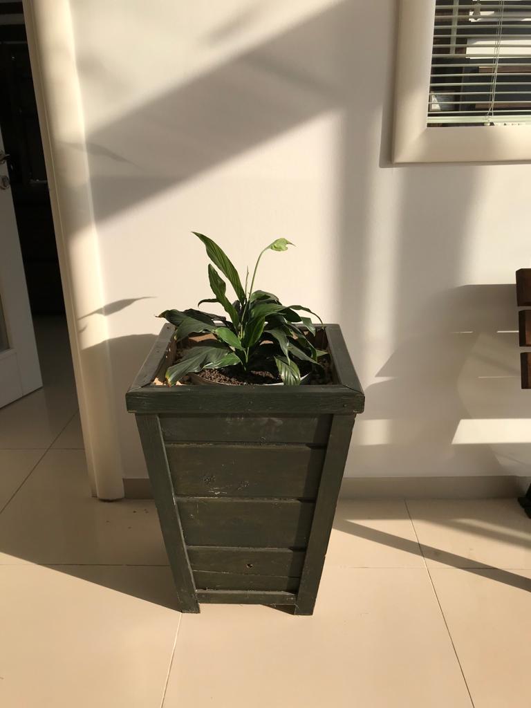 İŞ YERİ (SHOWROOM)